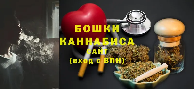 купить наркотик  Заводоуковск  Бошки Шишки SATIVA & INDICA 